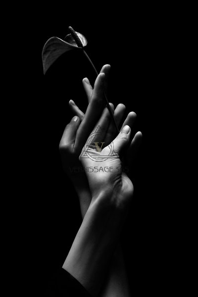 Дыхание бутона