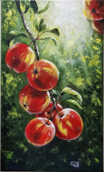 Яблоки на ветке