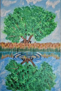 Зеркало природы