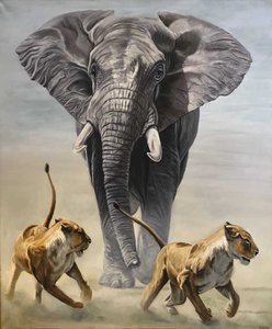 Слон и львицы