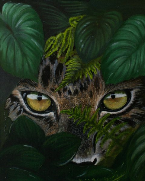 Взгля охотника