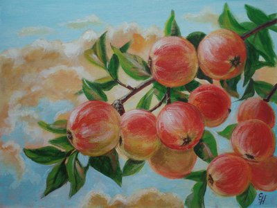 Райские яблоки