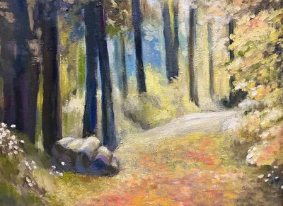 Тропинка с ромашками