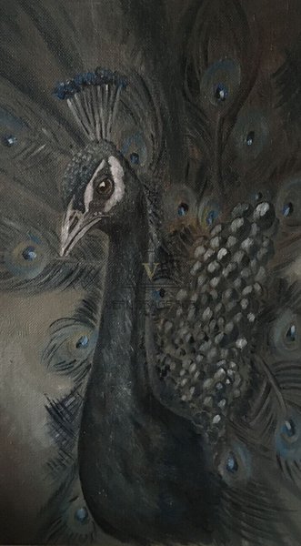 Павлин