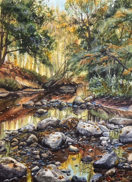 Ручей в лесу