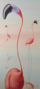 Flamingos