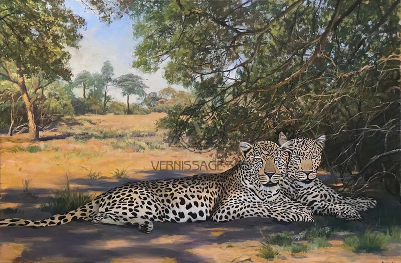 Два леопарда