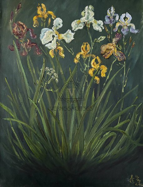 Ирисы