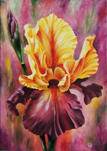 Королевский ирис