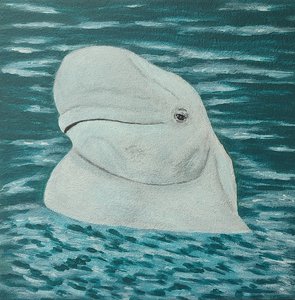 Белуха-кит
