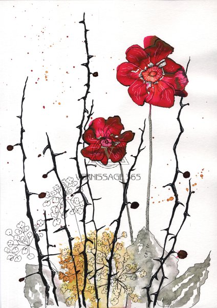 Маки и колючки