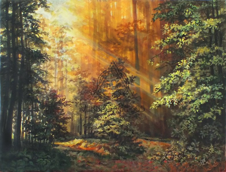 Лес и солнце