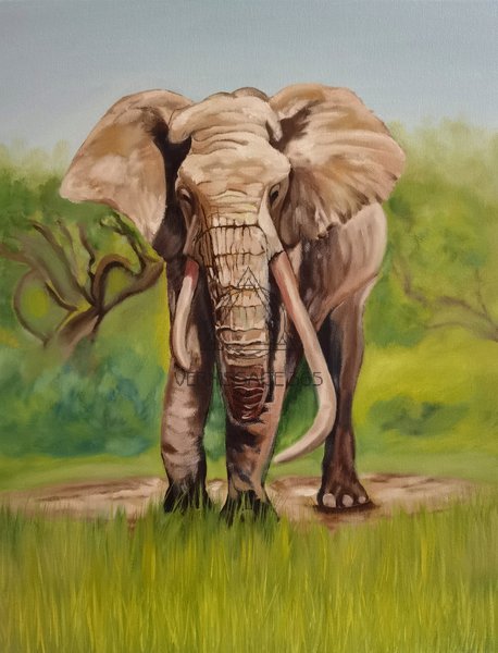 Африканский слон