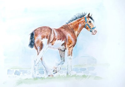 Клейдесдаль