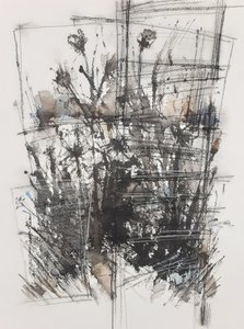 Пейзаж из моего окна