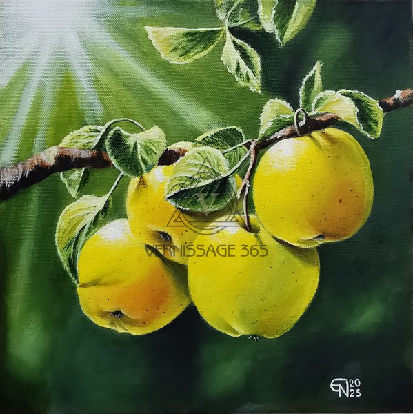 Яблоки наливные