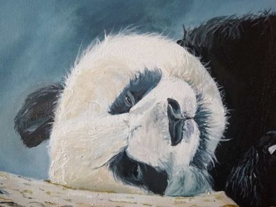 Сладких снов. Панда