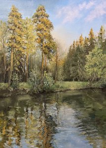 Летний вечер в лесопарке