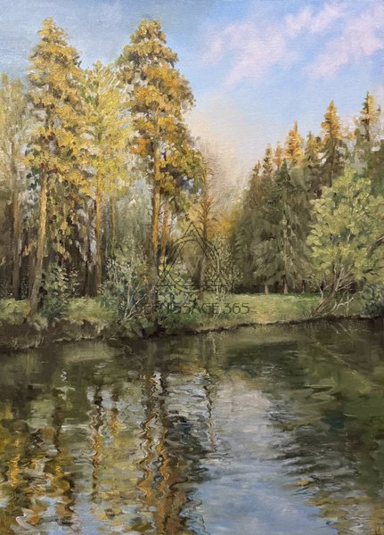 Летний вечер в лесопарке