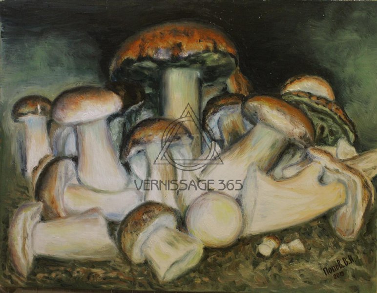 Белые грибы из леса возле хутора Вихляевский.