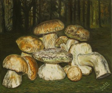 Белые грибы из леса возле хутор в Вихляевский.