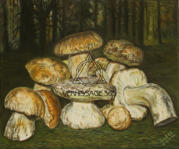 Белые грибы из леса возле хутор в Вихляевский.