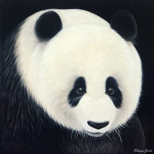 Серия « Взгляды. Панда»
