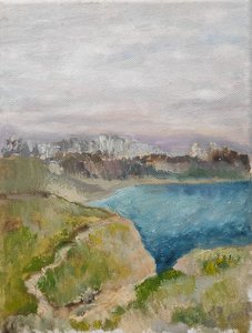 Карантинная бухта. Вид на город