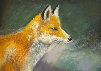 "The fox's Gaze"