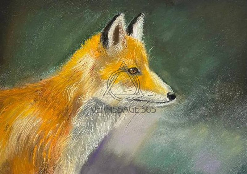 "The fox's Gaze"