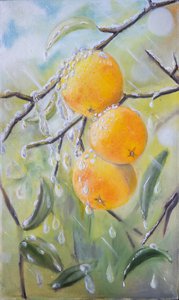 апельсины в каплях дождя