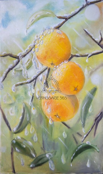 апельсины в каплях дождя