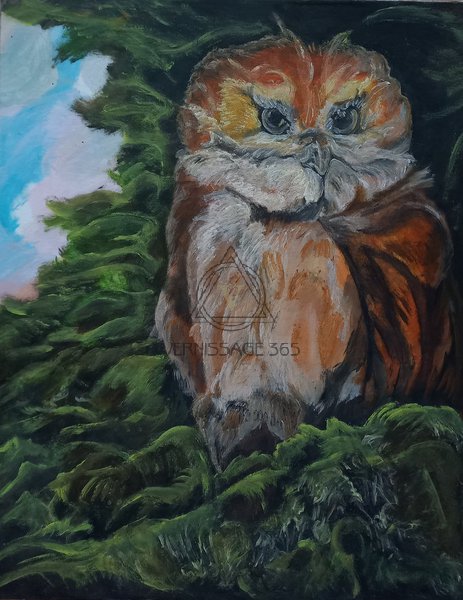 Сова в тени