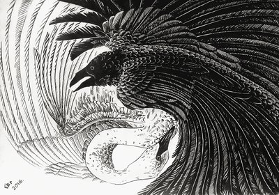 Ворон-Лебедь