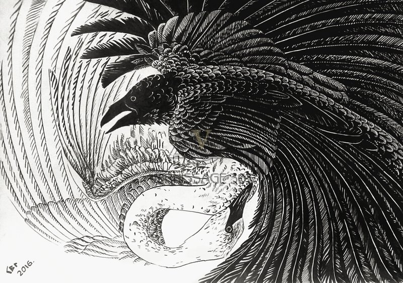 Ворон-Лебедь