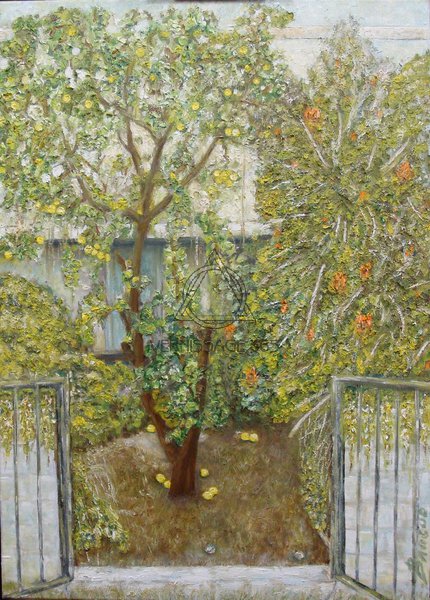 Палисадник с лимонным деревом.Иерусалим