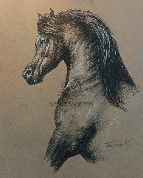 Арабский скакун