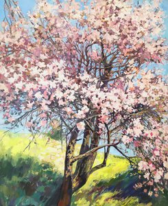 Весенний сад