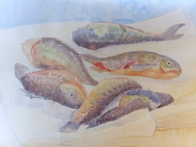 Рыбы на пергаменте