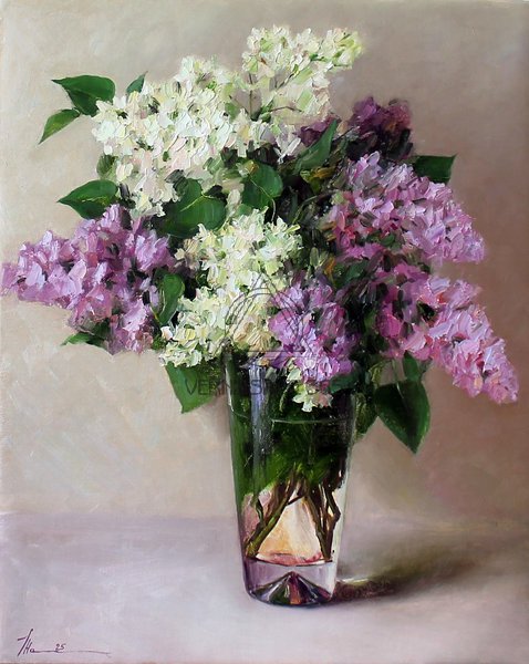 Сирень цветёт