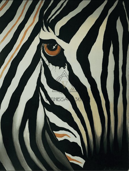 Зебра / Zebra