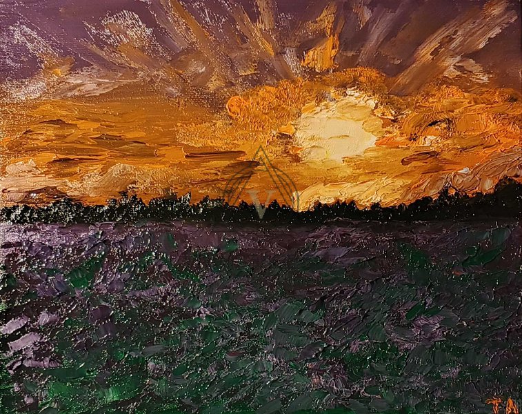 Лавандовое поле