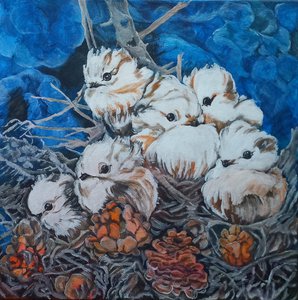 Птички-белогрудые синички. 2вариант.