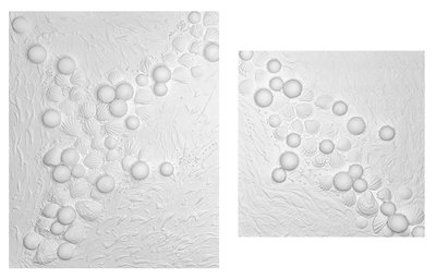 Морская 2 Диптих