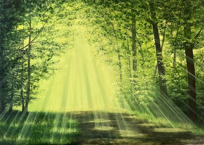 Лесная тропа