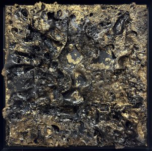 Царство, объединяющее организмы