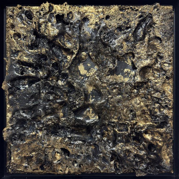 Царство, объединяющее организмы