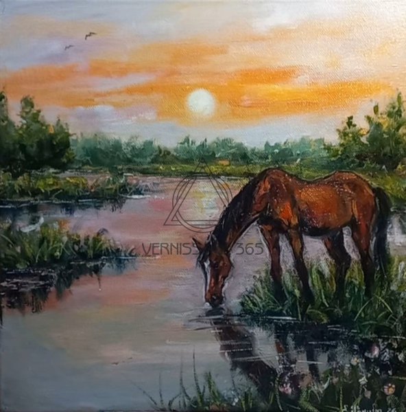 Вечерний водопой . Лошадь и Закат.