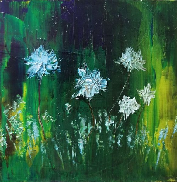 Полевые цветы