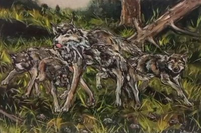 Волчица и волчата. Добыча.